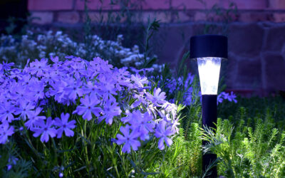 Spring Spruce Up: Installing Solar Lights in Your Yard